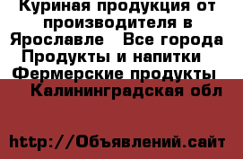 Куриная продукция от производителя в Ярославле - Все города Продукты и напитки » Фермерские продукты   . Калининградская обл.